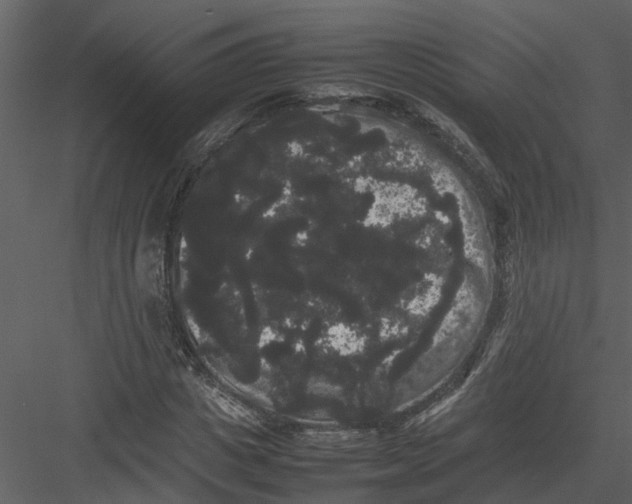 X0000082940825200702222244