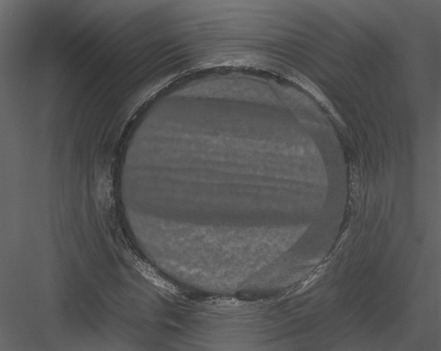 X0000082940826200702222244