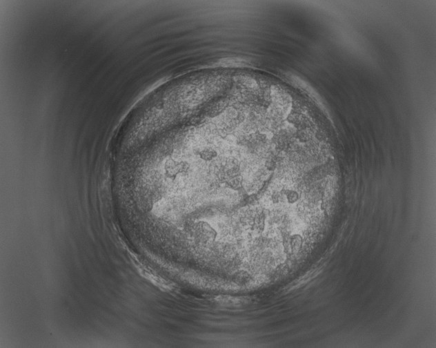 X0000082940827200702222244