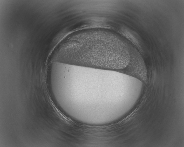 X0000082940828200702222244