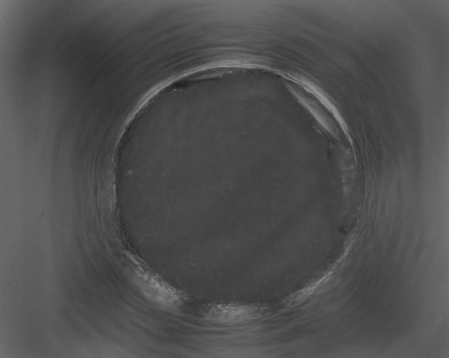 X0000082940829200702222244