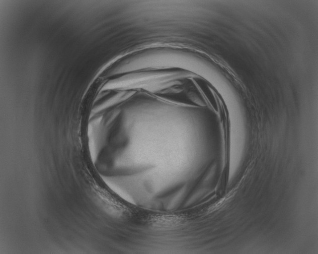 X0000082940830200702222244