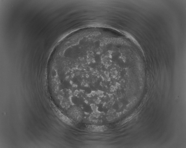 X0000082940831200702222244