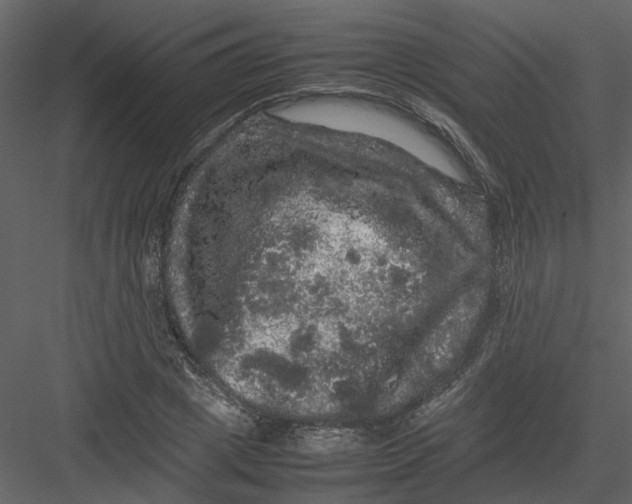 X0000082940833200702222244