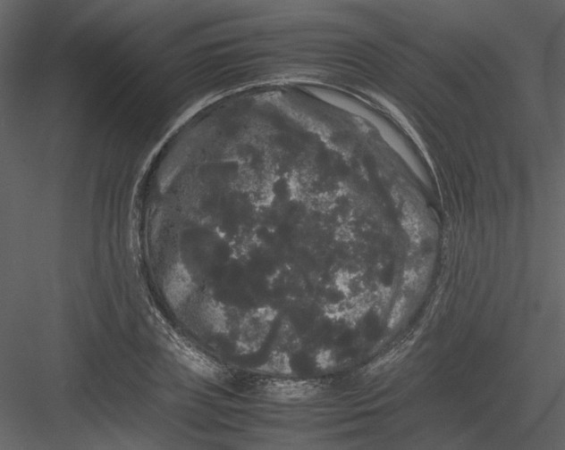 X0000082940835200702222244