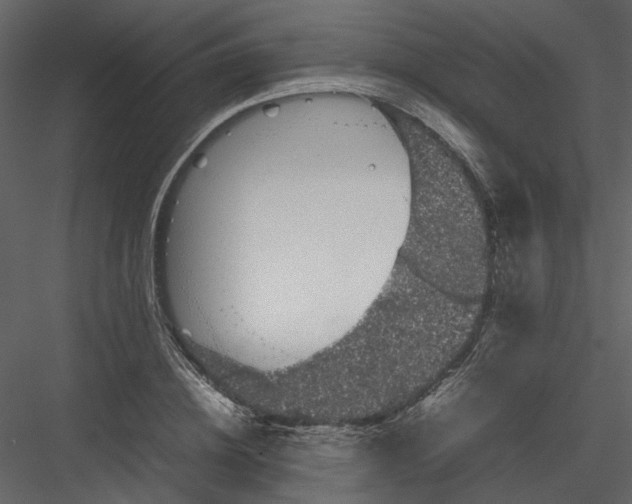 X0000082940836200702222244