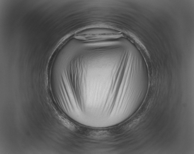 X0000082940837200702222244