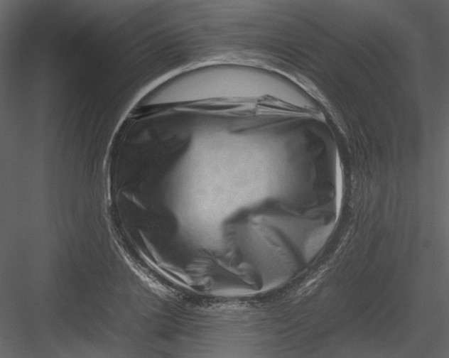 X0000082940838200702222244