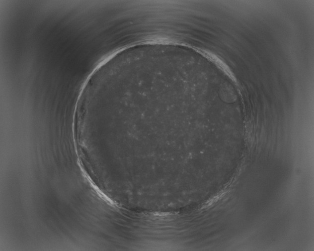 X0000082940839200702222244