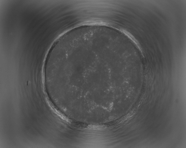 X0000082940840200702222244