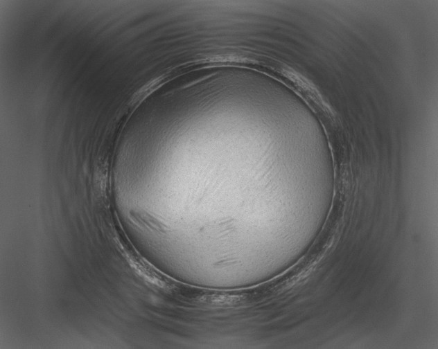 X0000082940841200702222244