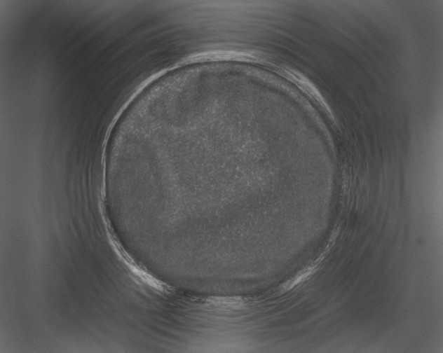 X0000082940844200702222245