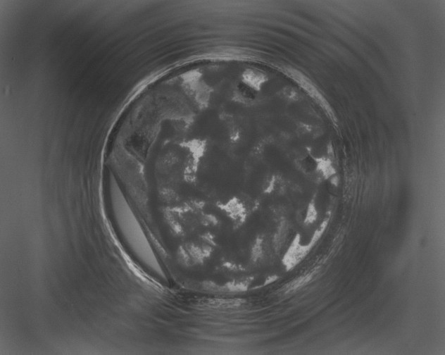 X0000082940845200702222245