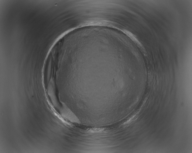 X0000082940846200702222245