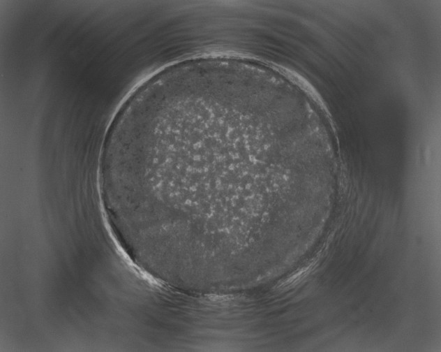 X0000082940847200702222245