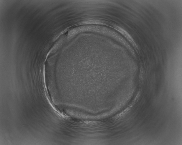 X0000082940849200702222245