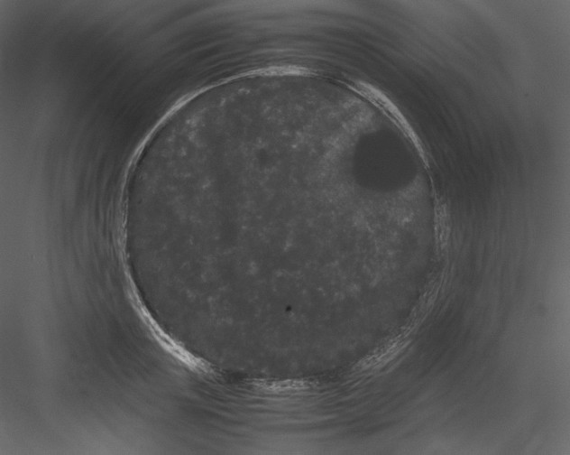 X0000082940851200702222245