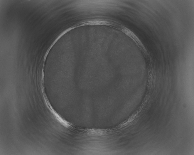 X0000082940852200702222245