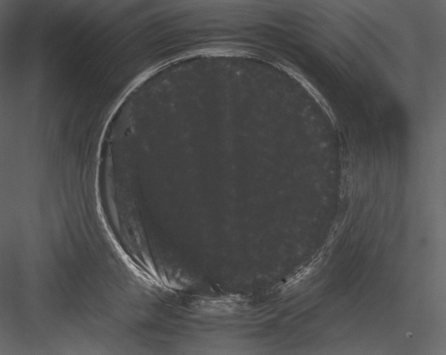 X0000082940853200702222245