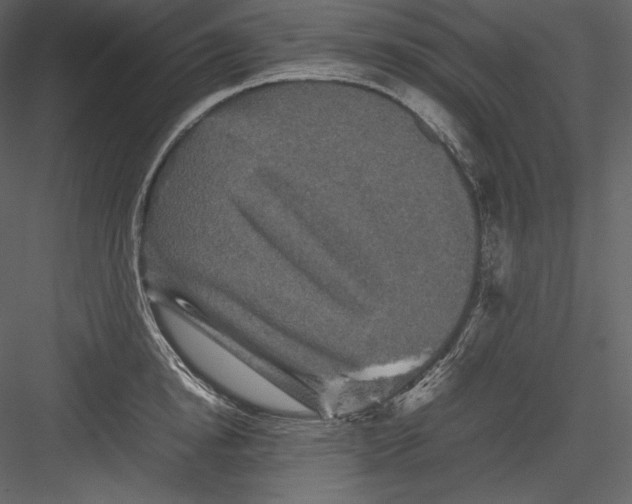 X0000082940854200702222245