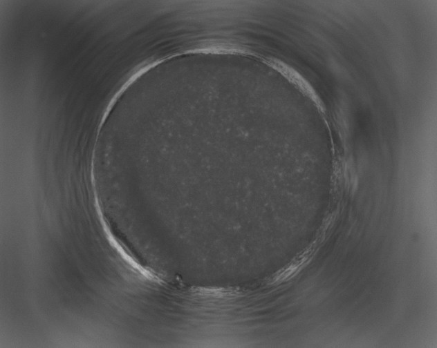 X0000082940855200702222245