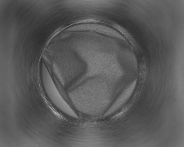 X0000082940858200702222245