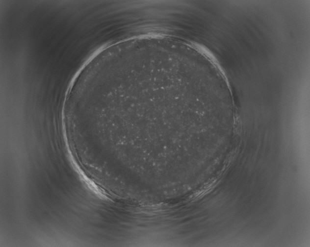 X0000082940859200702222245