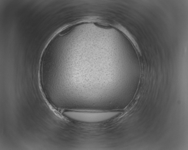 X0000082940861200702222245