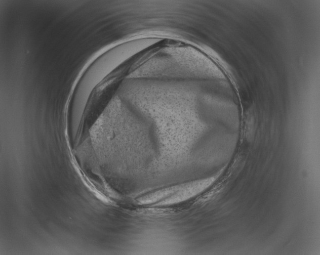 X0000082940862200702222245