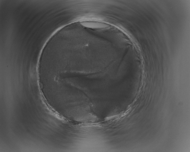 X0000082940864200702222245