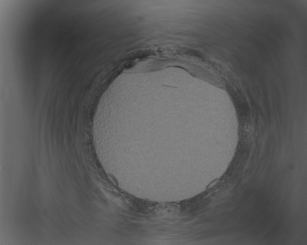 X0000082940865200702222244