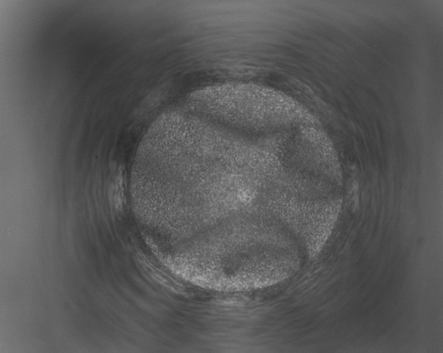 X0000082940866200702222244