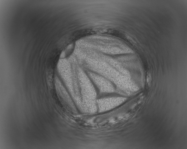 X0000082940867200702222244