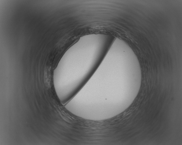 X0000082940868200702222244