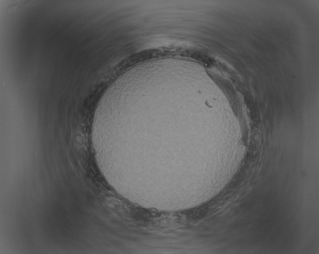 X0000082940869200702222244