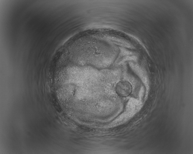 X0000082940871200702222244