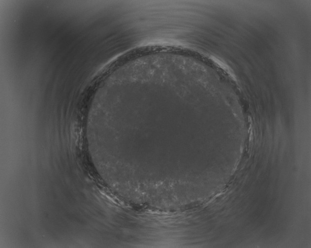 X0000082940872200702222244