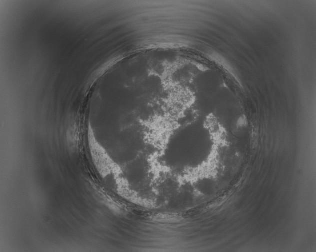 X0000082940874200702222244