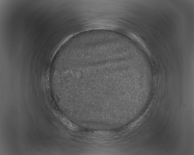 X0000082940875200702222244