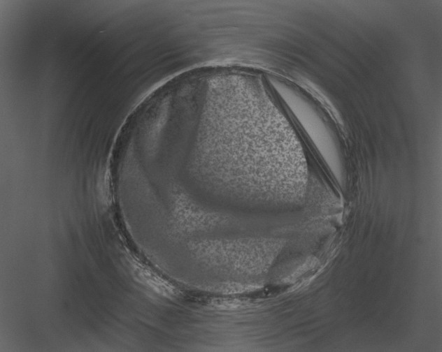 X0000082940876200702222244