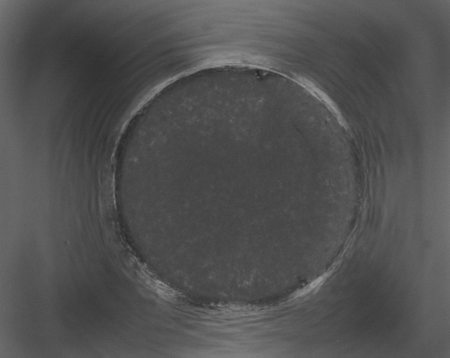 X0000082940877200702222244