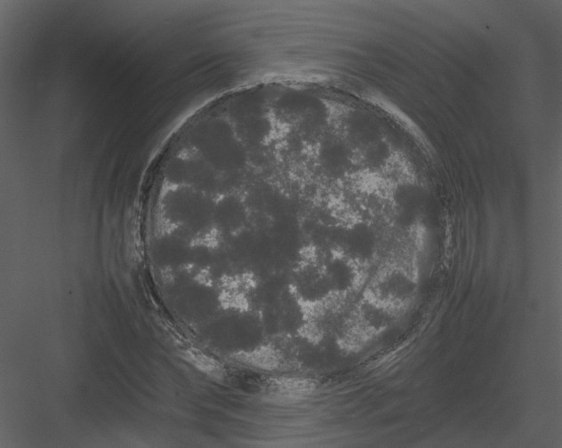 X0000082940878200702222244