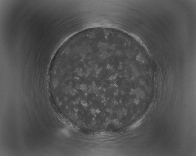 X0000082940879200702222244