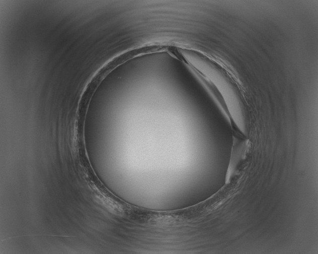 X0000082940880200702222244