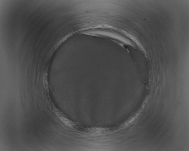 X0000082940881200702222244