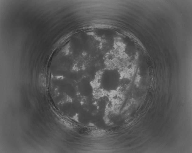 X0000082940882200702222244