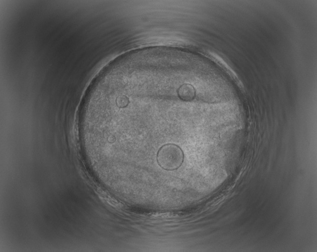 X0000082940883200702222244