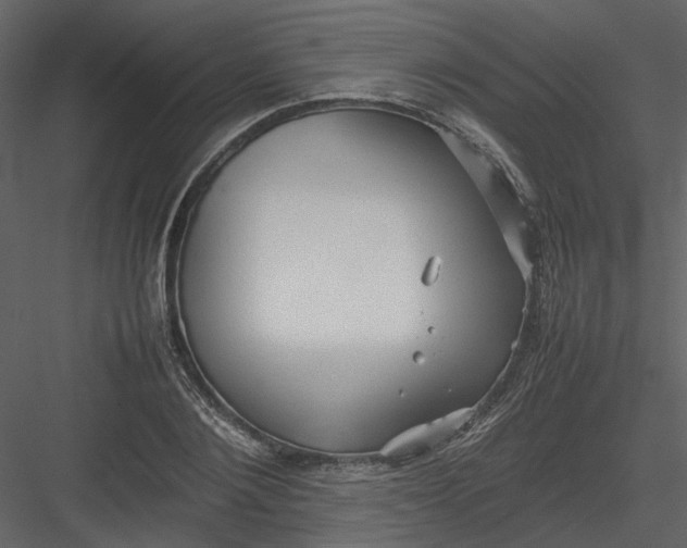 X0000082940884200702222244