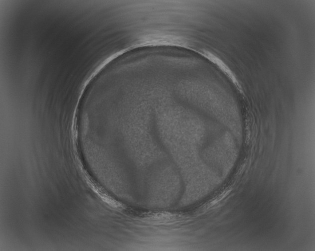 X0000082940885200702222244