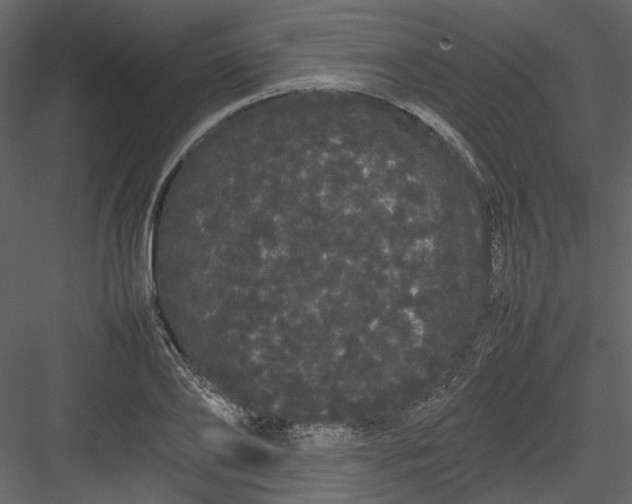 X0000082940886200702222244